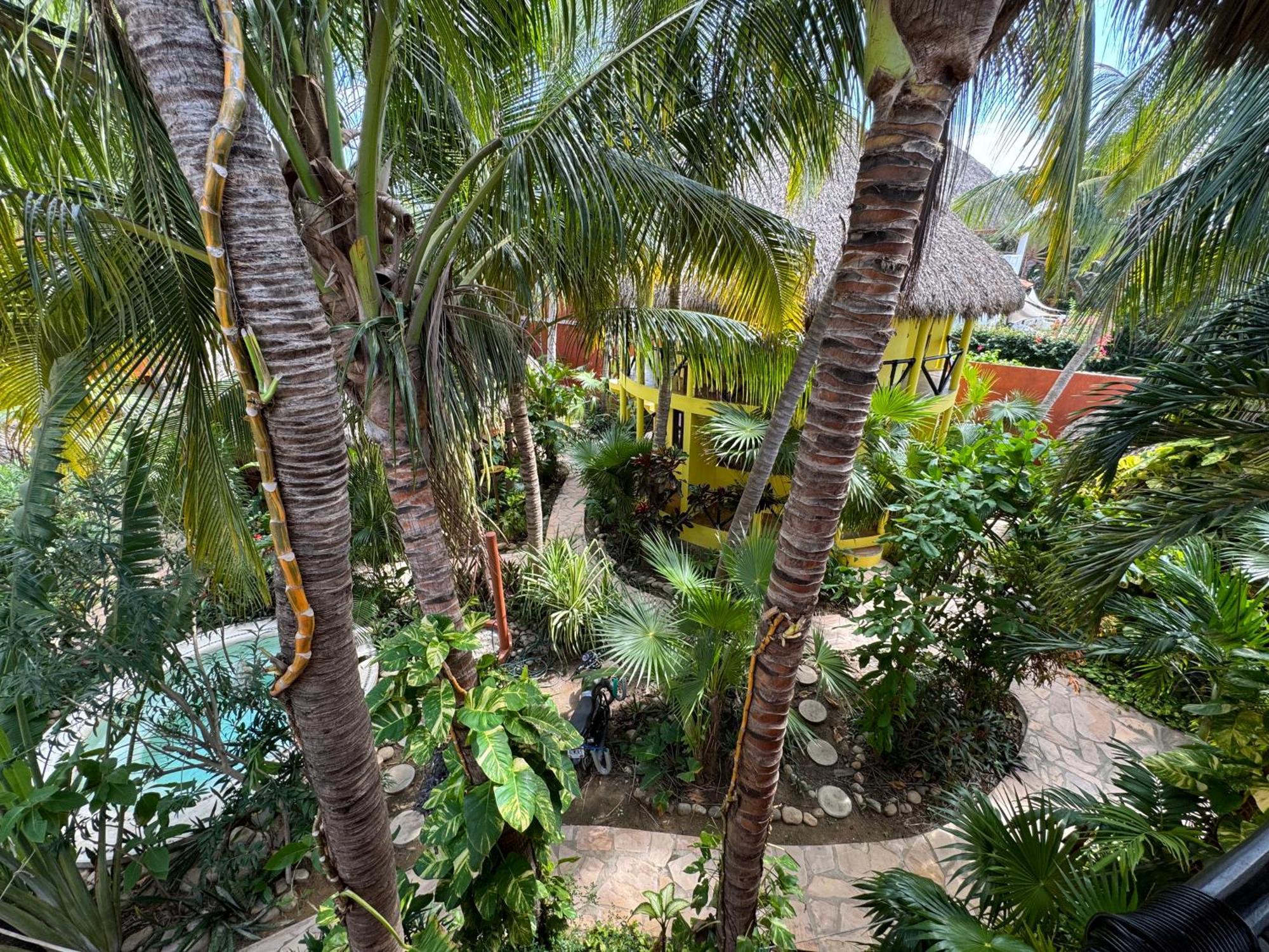 One Love Hostal Puerto Escondido Eksteriør billede